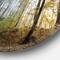 Designart - Morning Forest Panoramic View' Landscape Photography Circle Metal Wall Art